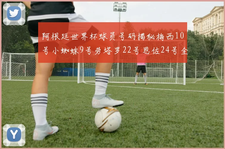 阿根廷世界杯球员号码揭秘梅西10号小蜘蛛9号劳塔罗22号恩佐24号全解析