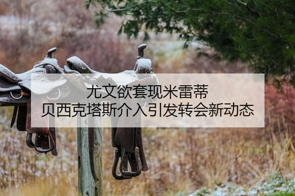 尤文欲套现米雷蒂 贝西克塔斯介入引发转会新动态